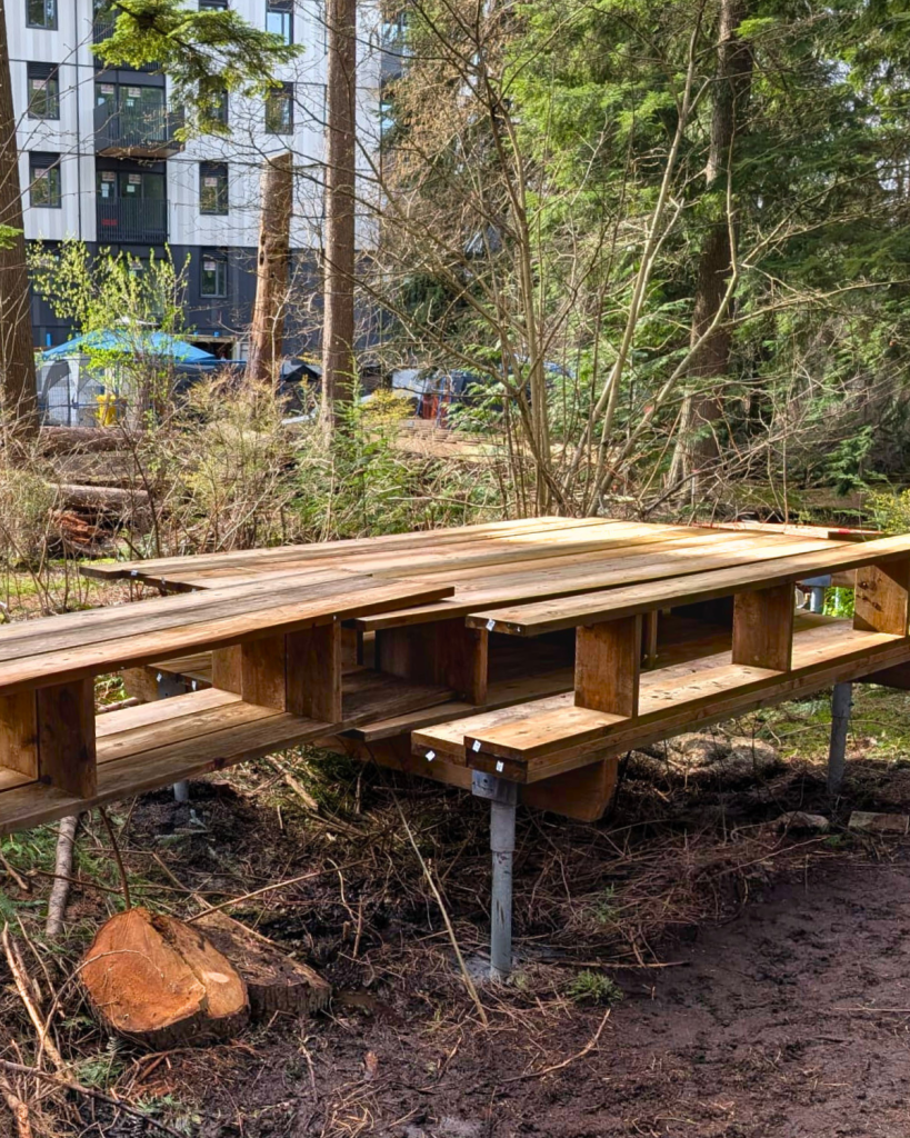 Wooden boardwalk substructure framing under construction between mature trees in an urban park setting with apartment buildings visible in background