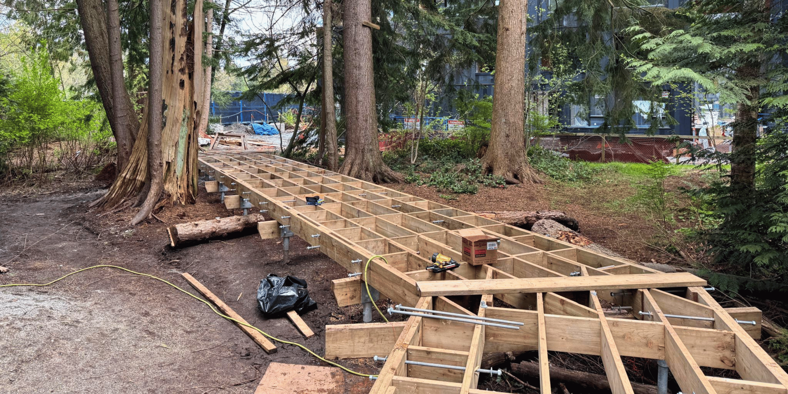 Timber boardwalk deck surface viewed from one end, extending through a dense forest with tall trees on both sides